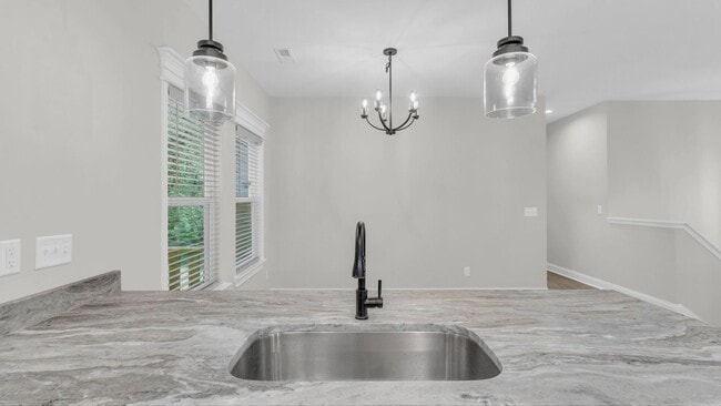 Building Photo - Brand new, 4 bedroom home!