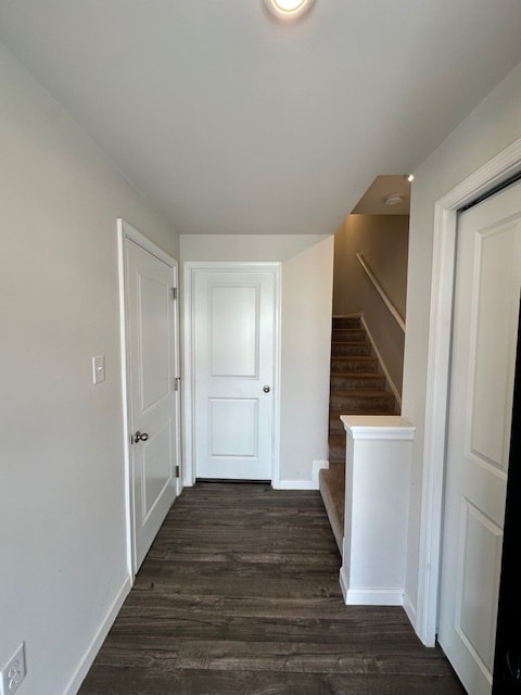 Building Photo - 424 Sitka Spruce Ln