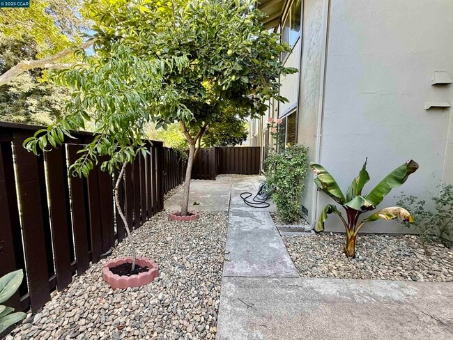 Building Photo - 1564 Candelero Dr