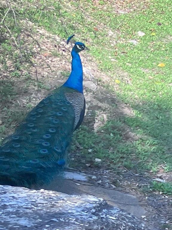 Building Photo - 15306 Oklahoma St