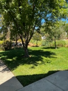 Building Photo - 11155 Ringtail Rd