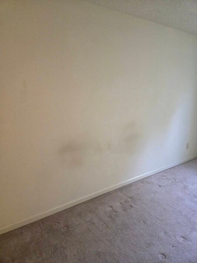 Building Photo - 115 Blackwelder Ave