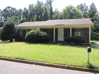 Building Photo - Nice 3 bedroom 1 bath home in Cottondale