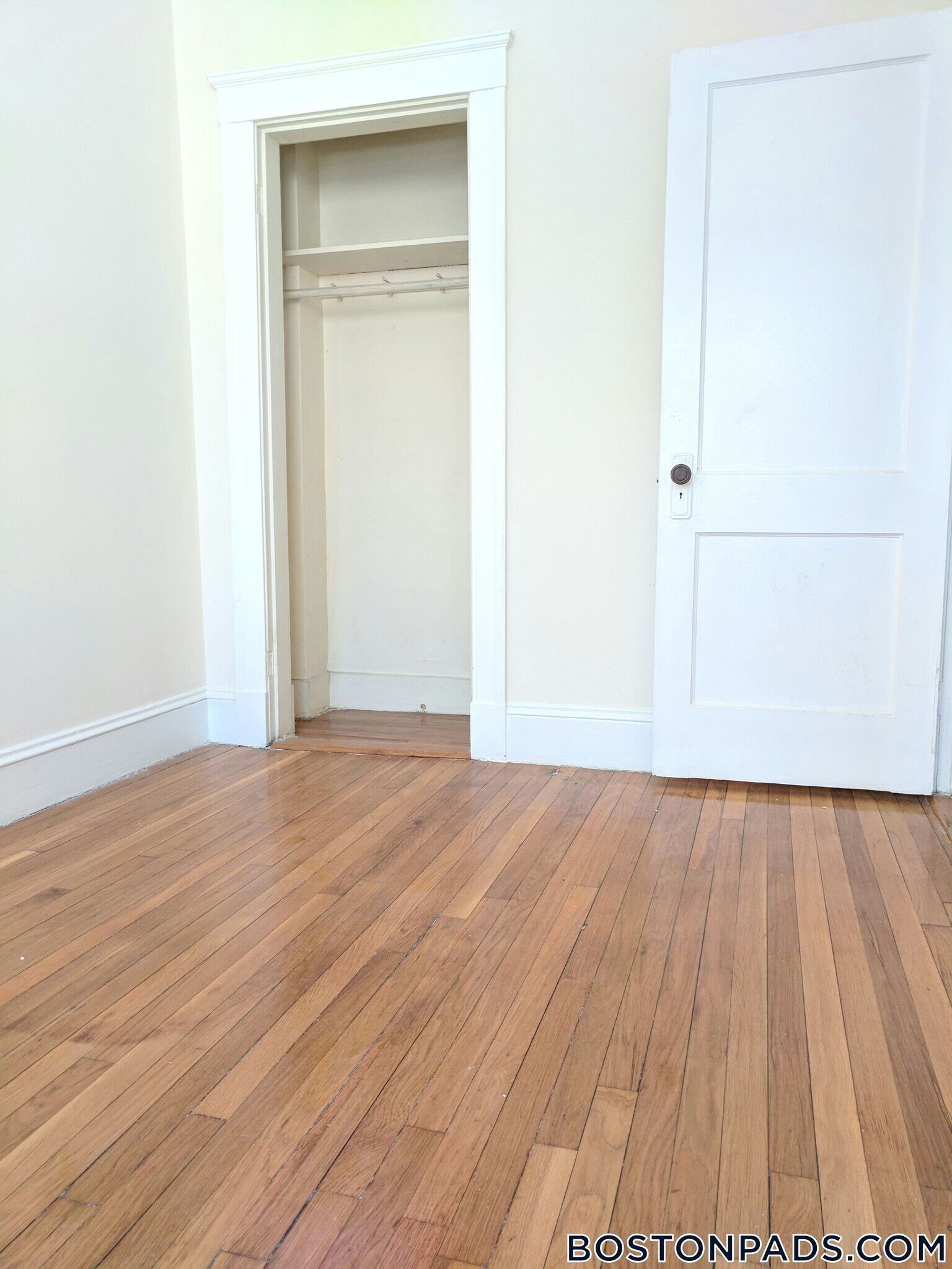 Building Photo - 241 Freeman St