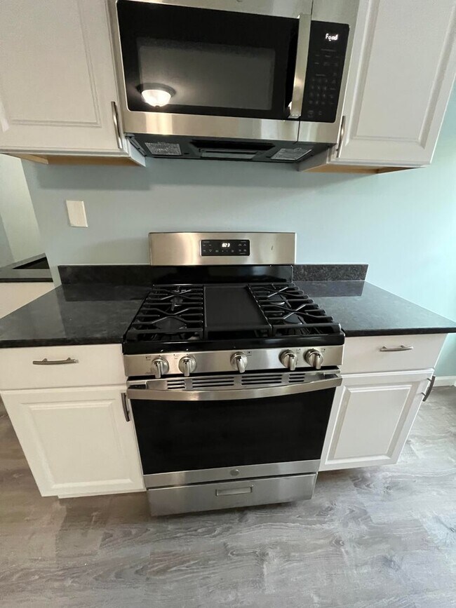 Building Photo - Gorgeous Studio Apartment in Quiet Pittsfield Street