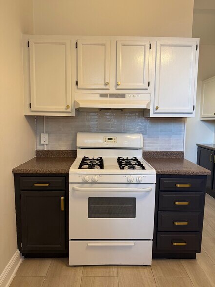 Stove Area - 2707 Ann Ave