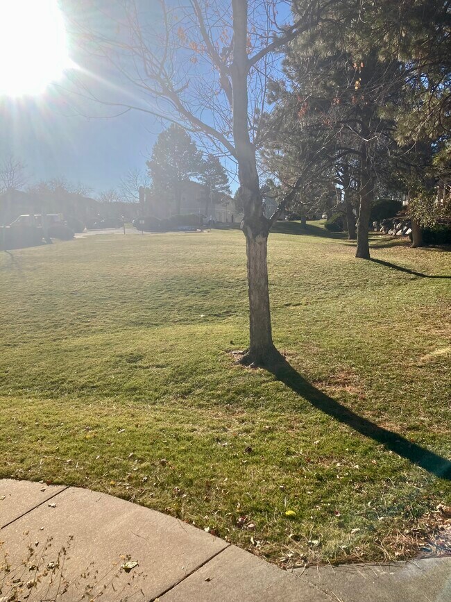 Front yard - 919 S Granby Way