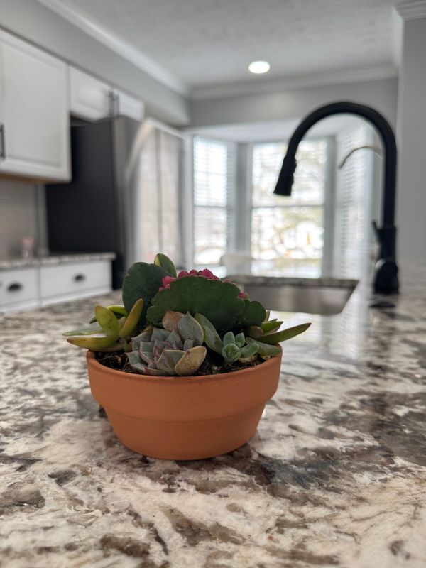 Building Photo - 13937 Big Yankee Ln