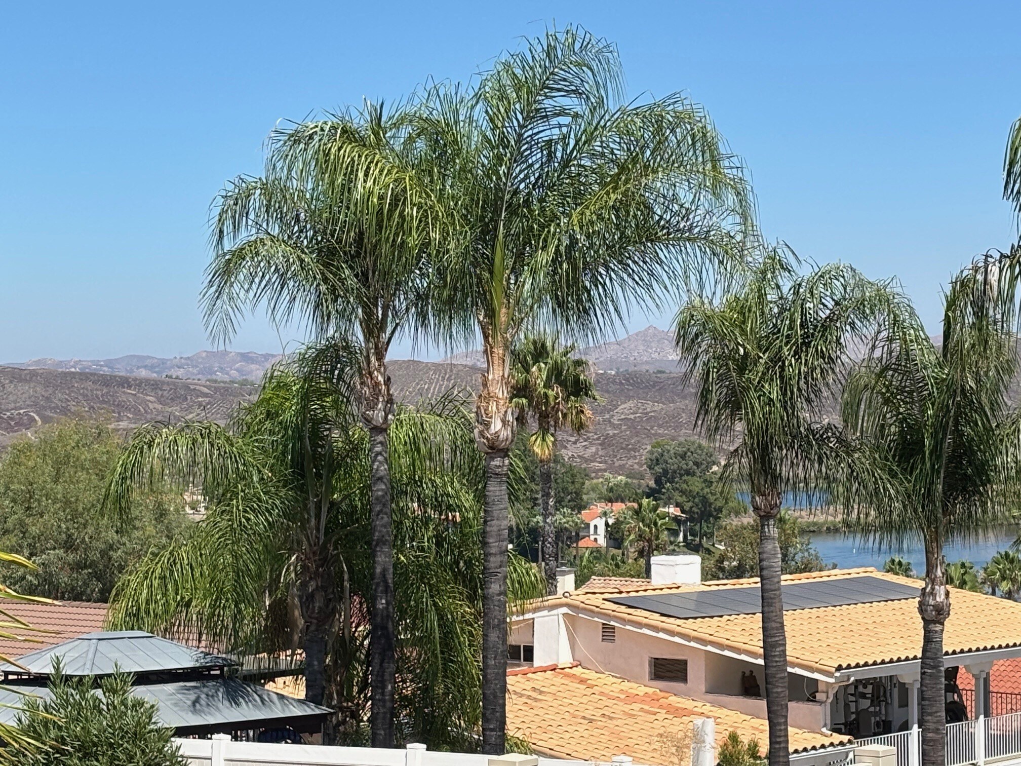 Lake view from backyard - 22471 Loch Lomond Dr