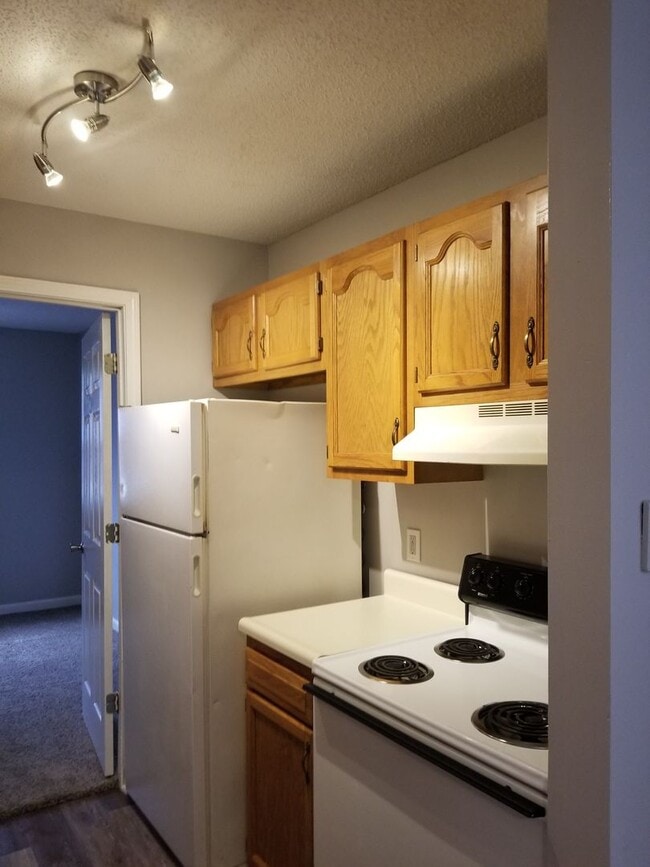 Building Photo - Newly remodeled 1 bed 1 bath