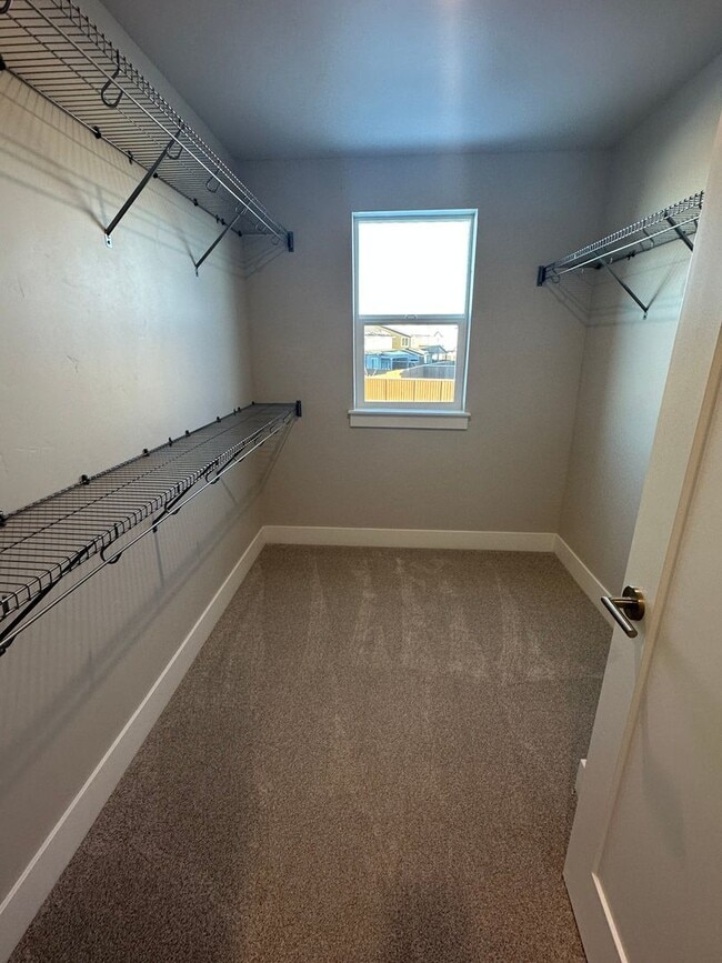 Building Photo - New Pahlisch Home in Petrosa! Pets Welcome...