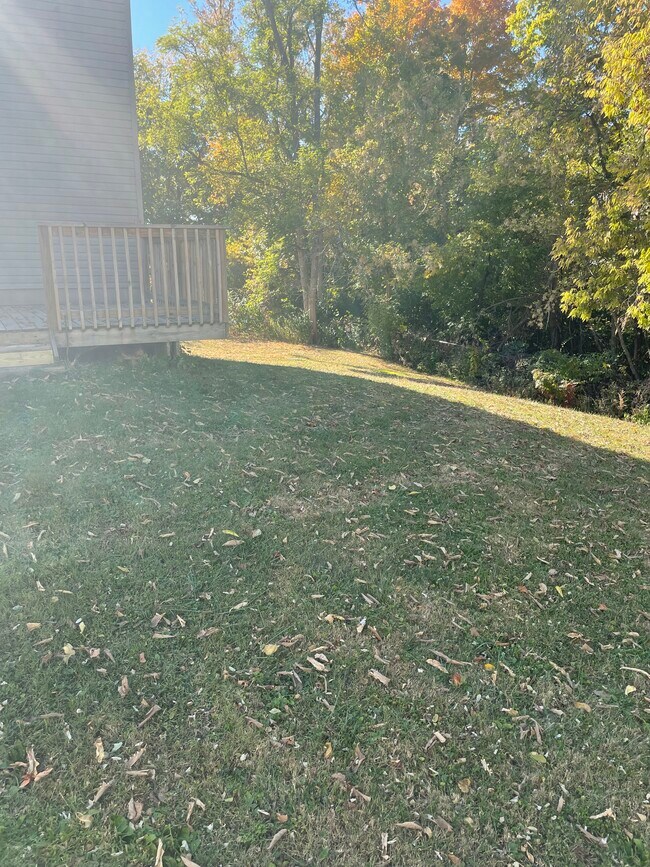 Building Photo - 60 Cavalier Blvd