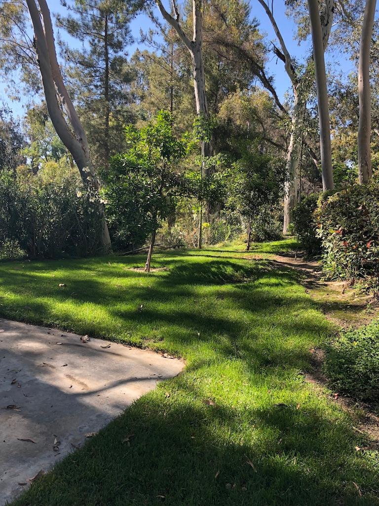 lower picnic area - 600 Central Ave