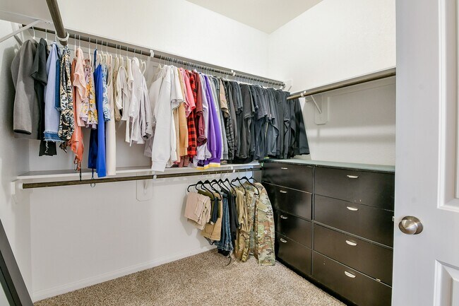 Building Photo - 24967 Goldoni Dr