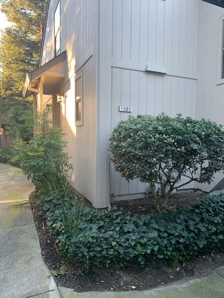 Exterior - 1905 Windmill Cir