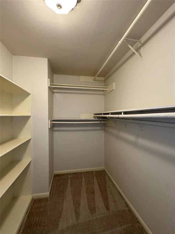 Building Photo - 15626 Canterbury Forest Dr