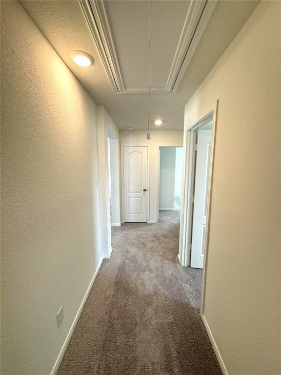 Building Photo - 1311 Oroville Ct