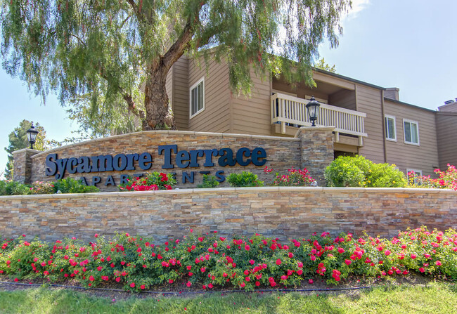 Building Photo - Sycamore Terrace Apartments