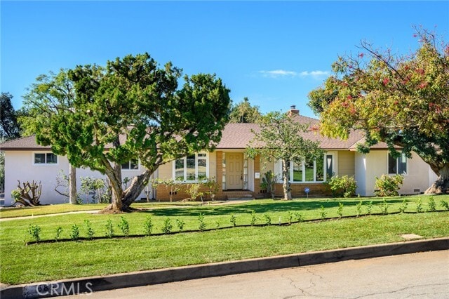 Building Photo - 685 Rim Rd