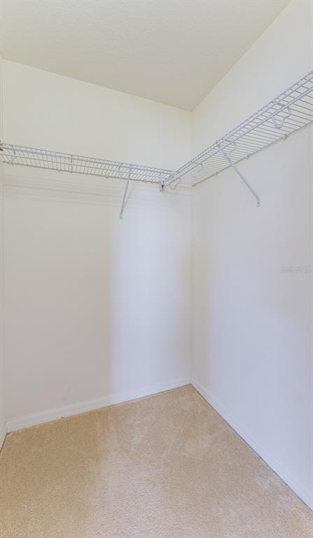 Building Photo - 13815 Artesa Bell Dr
