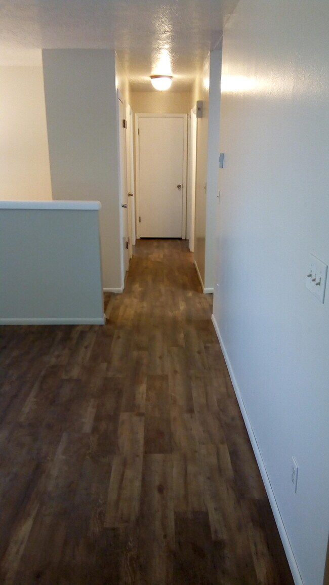 Hall has 3 closets - 2345 Gail Drive