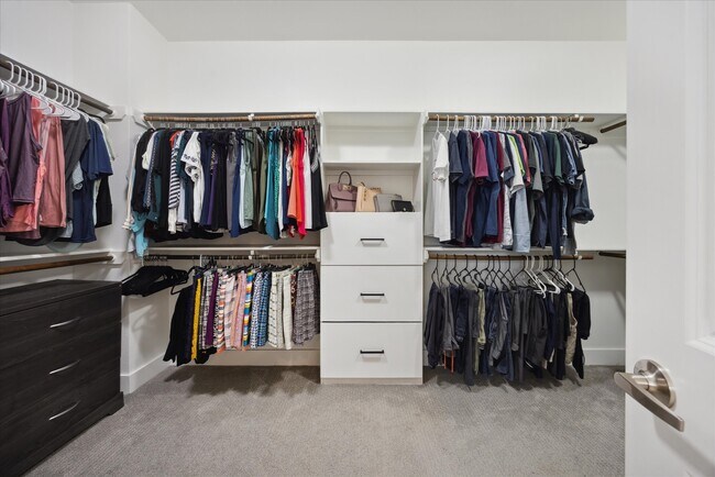 Building Photo - 8806 Hollister Pine Ct