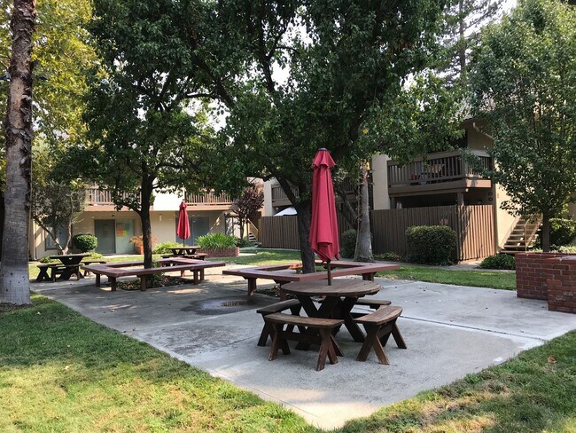 Building Photo - Beautiful upper level 1 bedroom, 1 bath unit in Station West