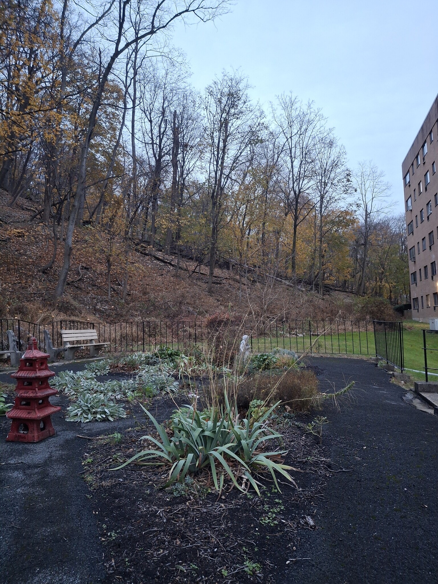 community garden - 1517 Hill Rd