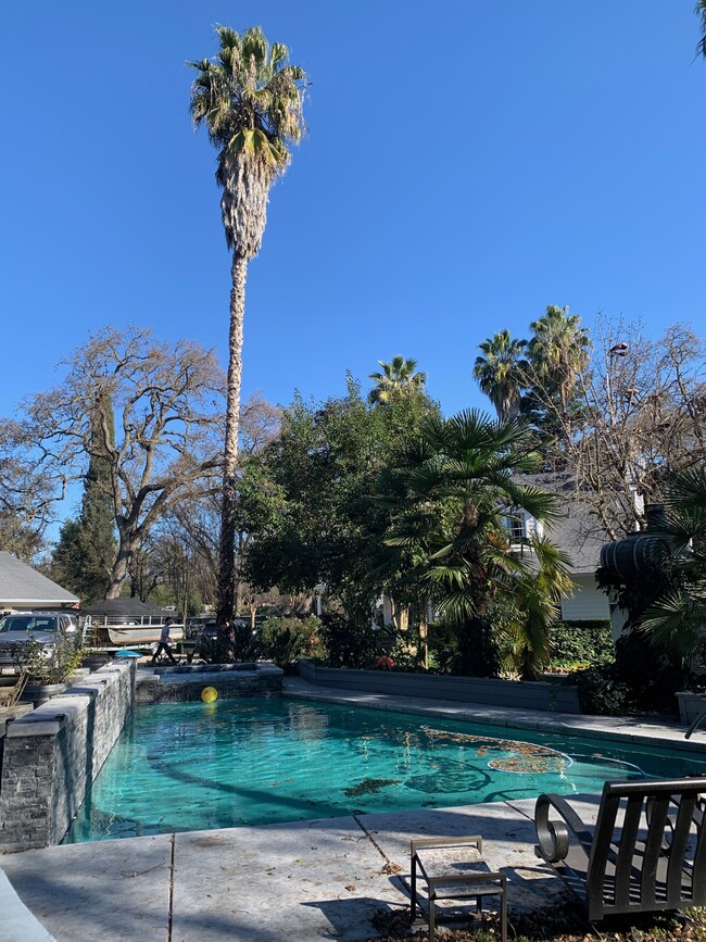 Swimming pool and hot tub - 26067 Thornton Rd