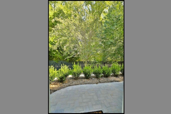 Backyard - 300 Vendella Cir
