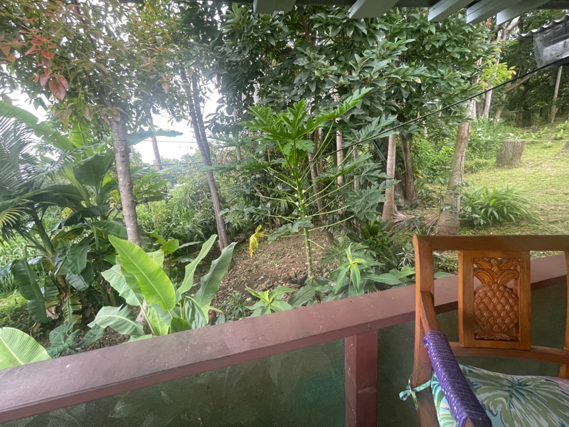 Building Photo - 82-1132-1132 Greenwell Mountain Rd