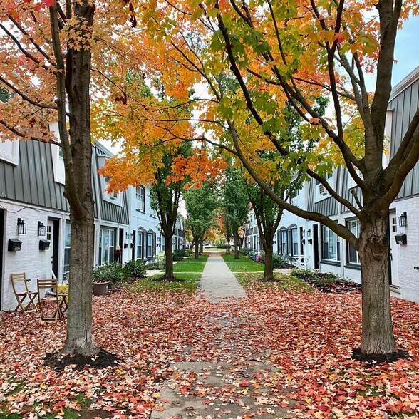 Building Photo - Park Townhomes of Highland Park