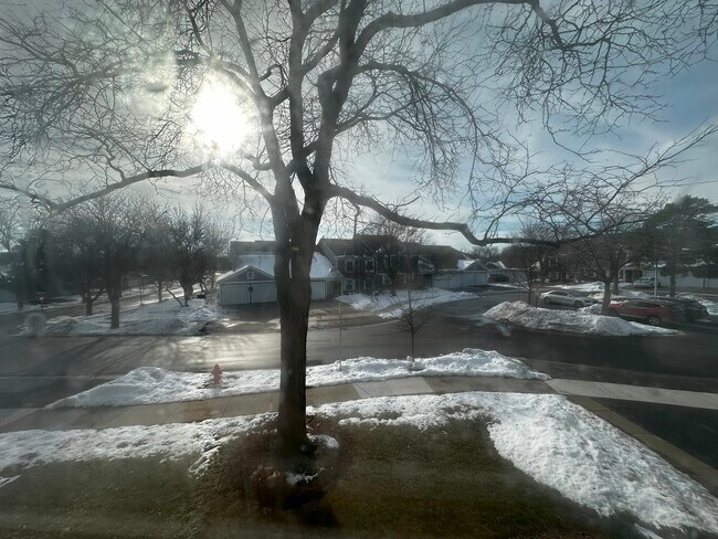 Building Photo - 608 Berkley Ct