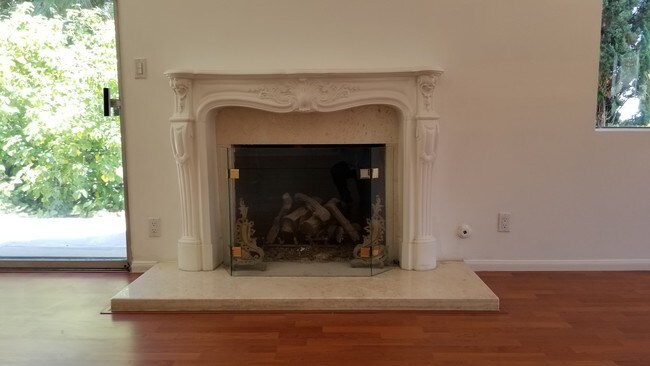 Fireplace in Living Room - 9031 Alto Cedro Dr