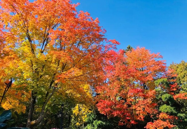 Beautiful Surroundings - 7590 Barrs Lake Rd