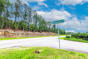 Building Photo - 6033 Springside Ln