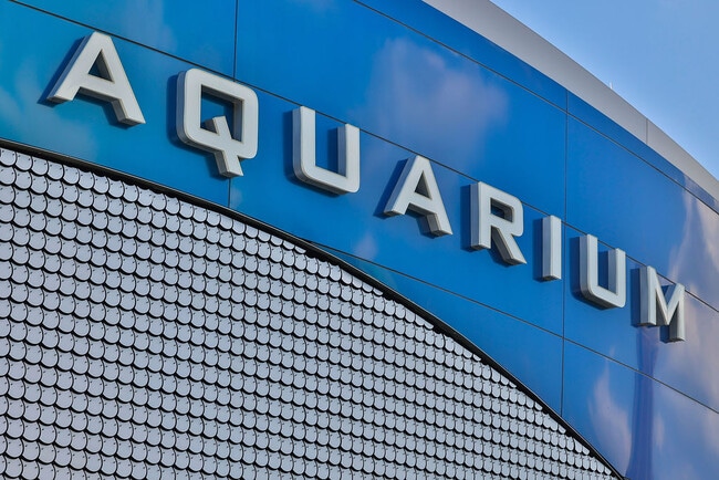 Building Photo - 3361 The Way Pl