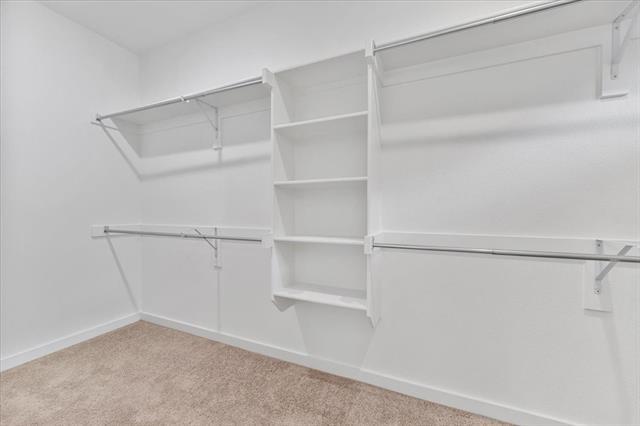 Building Photo - 3709 Palo Pinto Dr