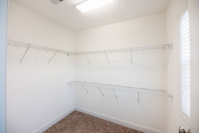 Building Photo - Stunning 5 Bedrooms, 4 Baths home in Summerfield with 2 car garage.