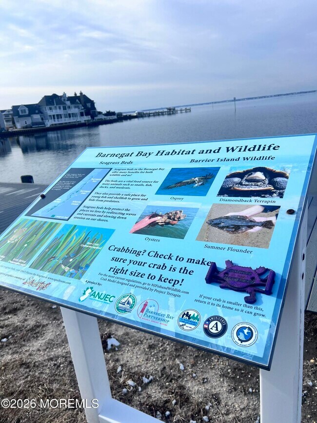 Building Photo - 447 NJ-35