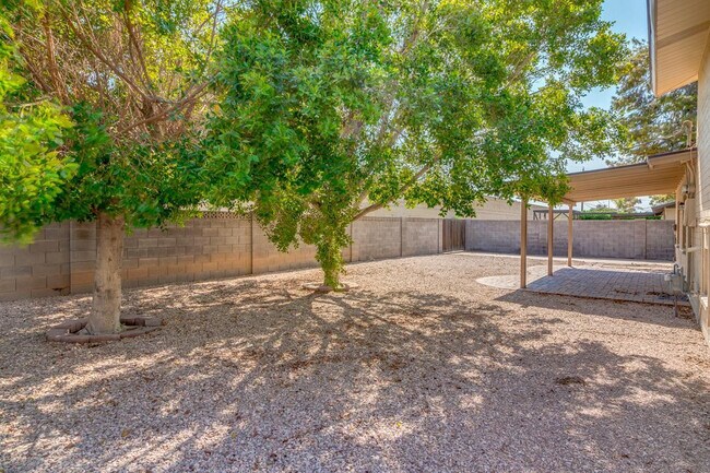 Building Photo - 137 E Riviera Dr