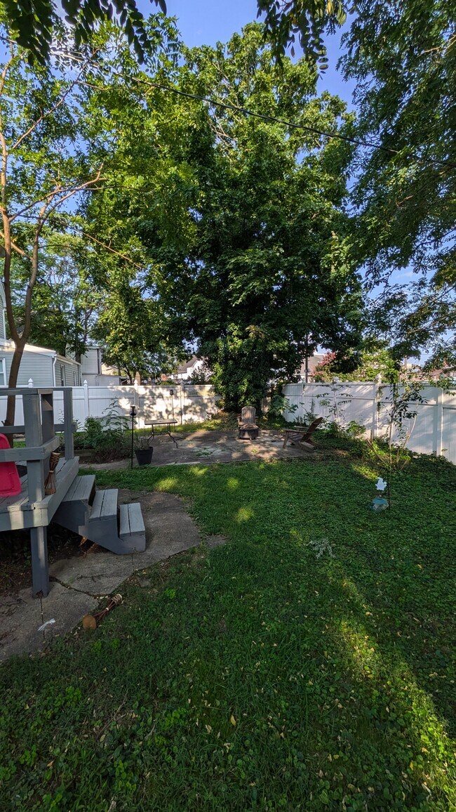 Great shared back yard - 411 Lyman Ave