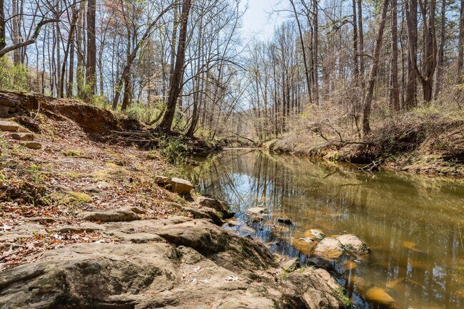 Building Photo - Beautiful 2 bedroom 2.5 bath Townhome in Carrboro