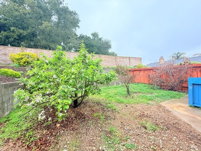 Building Photo - Pet-Friendly 2-Bedroom ADU in Orcutt – Utilities Included & Section 8 Welcome!