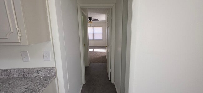 Building Photo - 3 Bedrooms! 2 Baths! Beautifully Updated! $1195 Close to MSU!