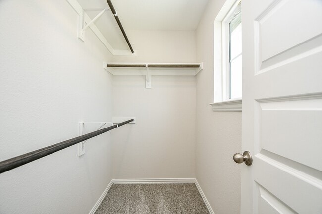Building Photo - 27927 Western Crk Ct