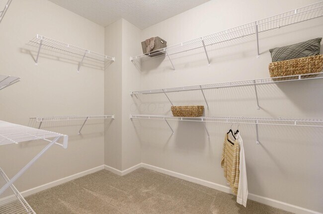 Building Photo - 8139 Wolf Path Dr