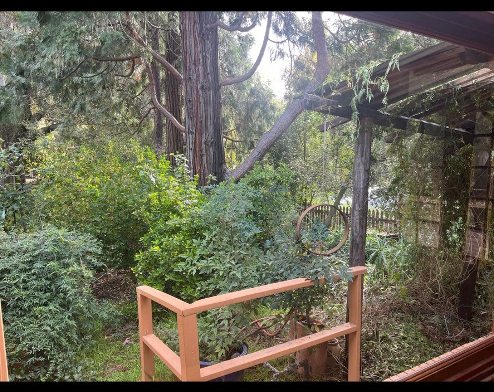 Building Photo - 1417 Old Topanga Canyon Rd