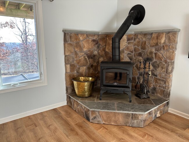 Woodstove - 793 Clifton Trl