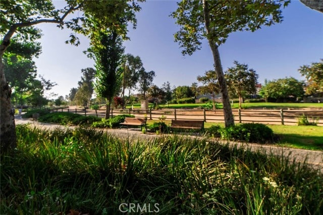 Building Photo - 7 Camellia